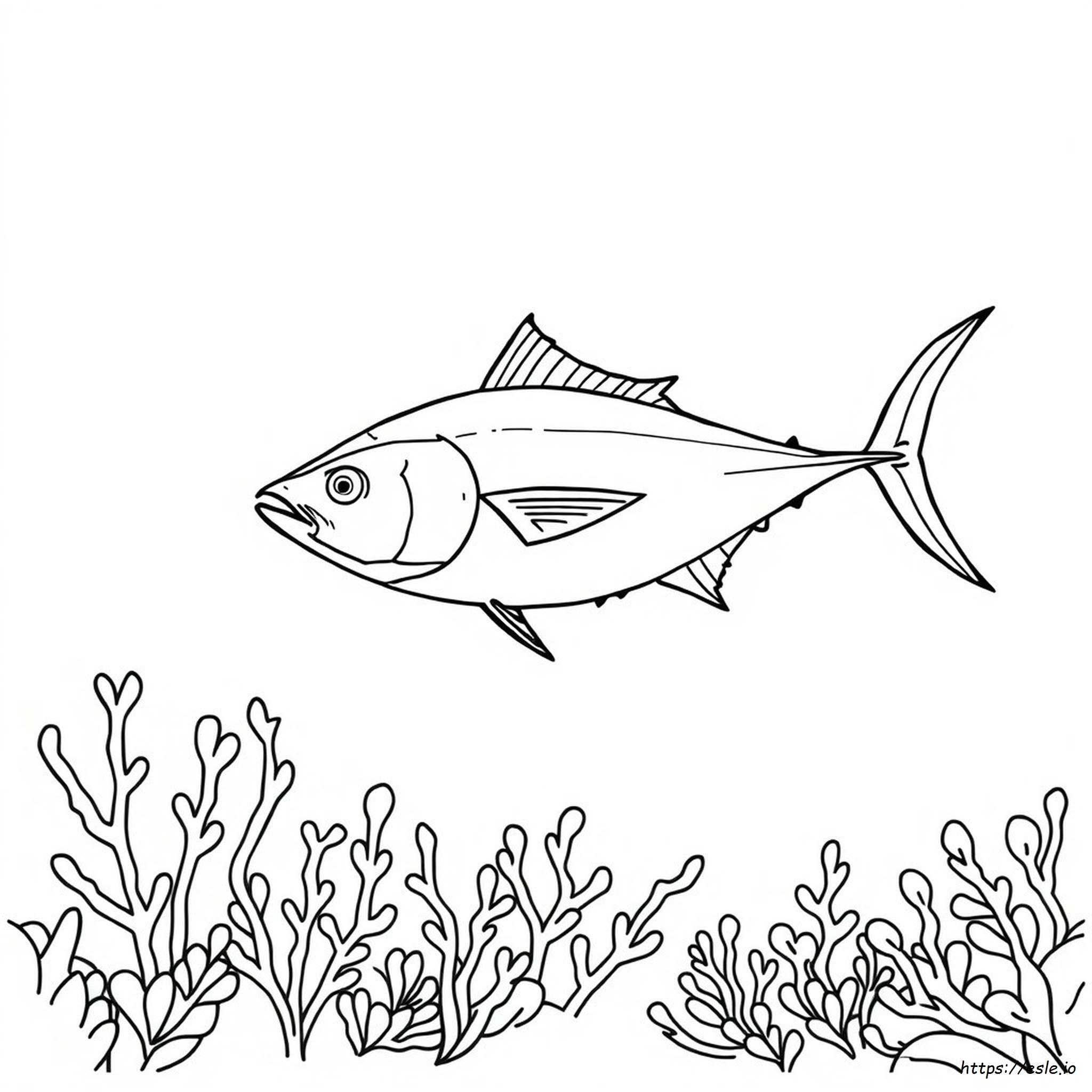 Atún Para Colorear