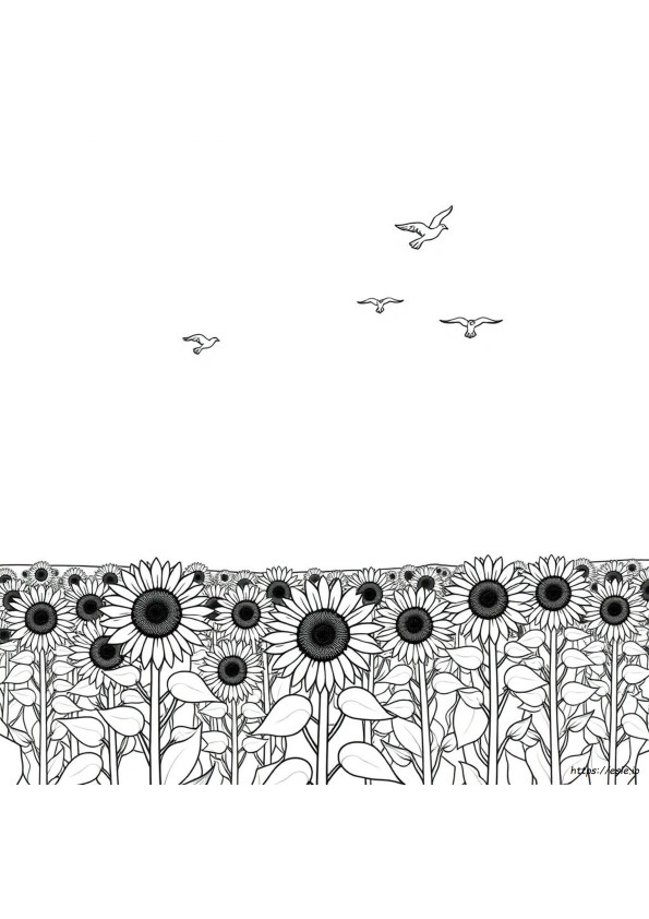 Daily Colouring