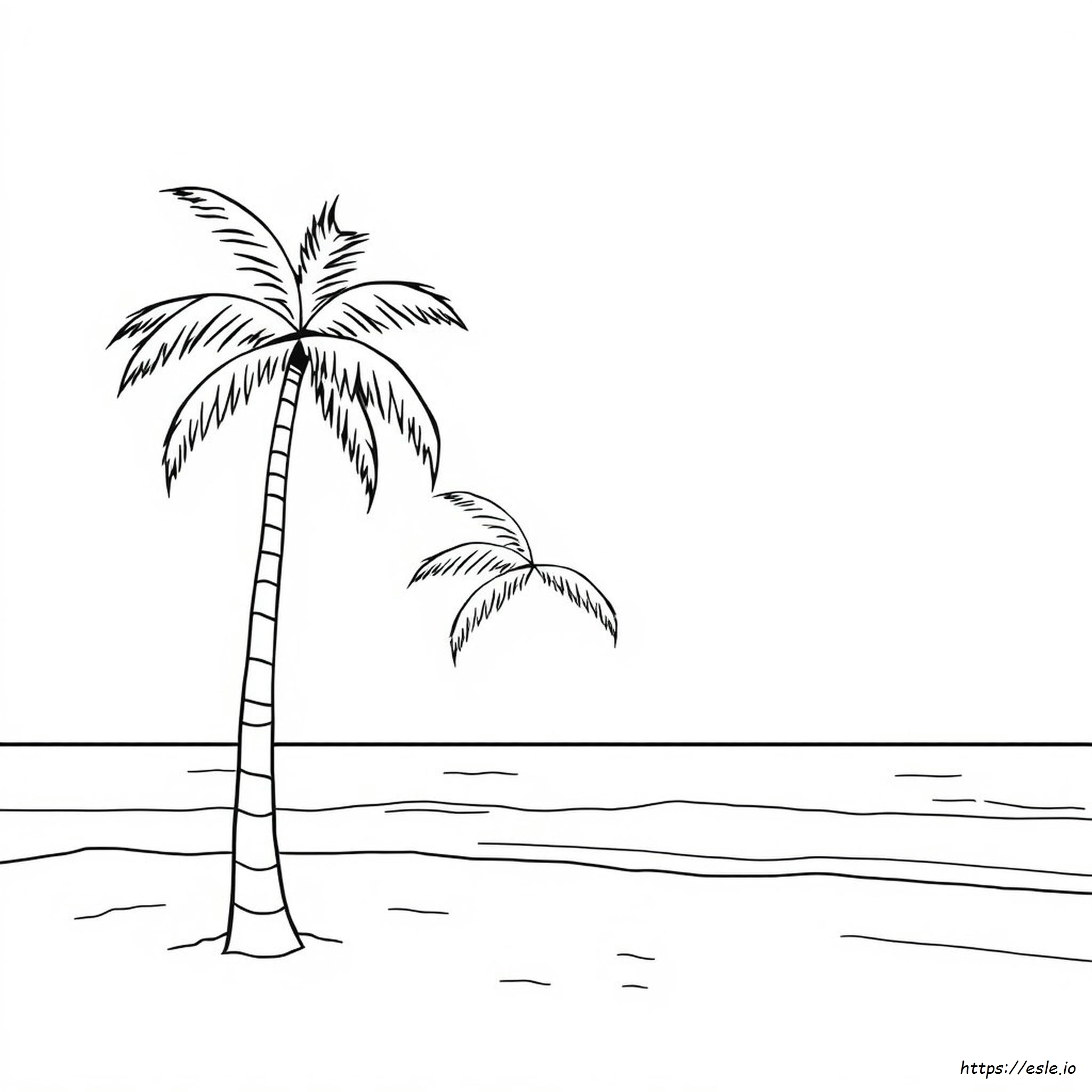 Coloring Pictures Of Palm Trees