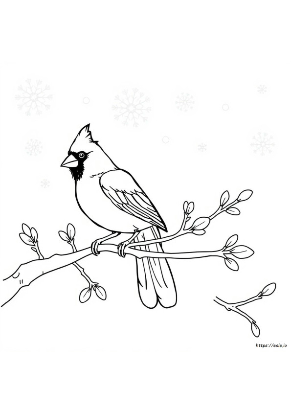 Cardinali: Disegni Da Colorare
