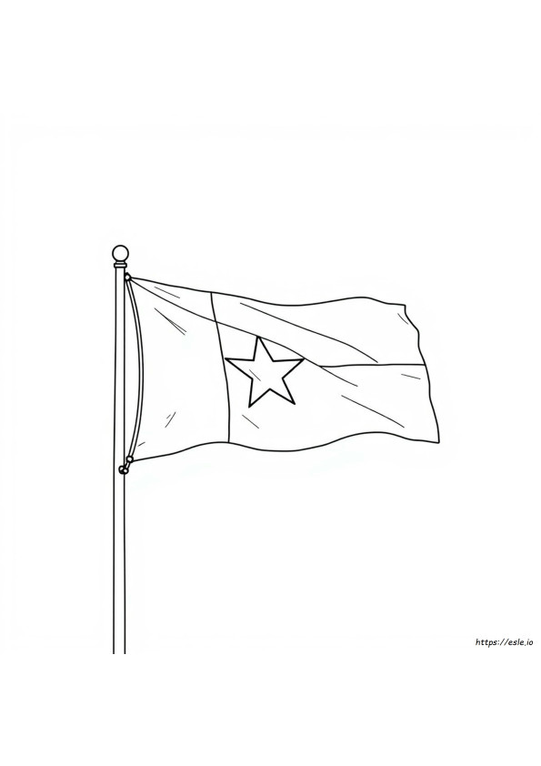 Coloriage Drapeau Du Texas