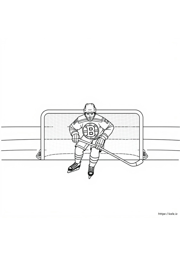 Boston Bruins Mewarnai