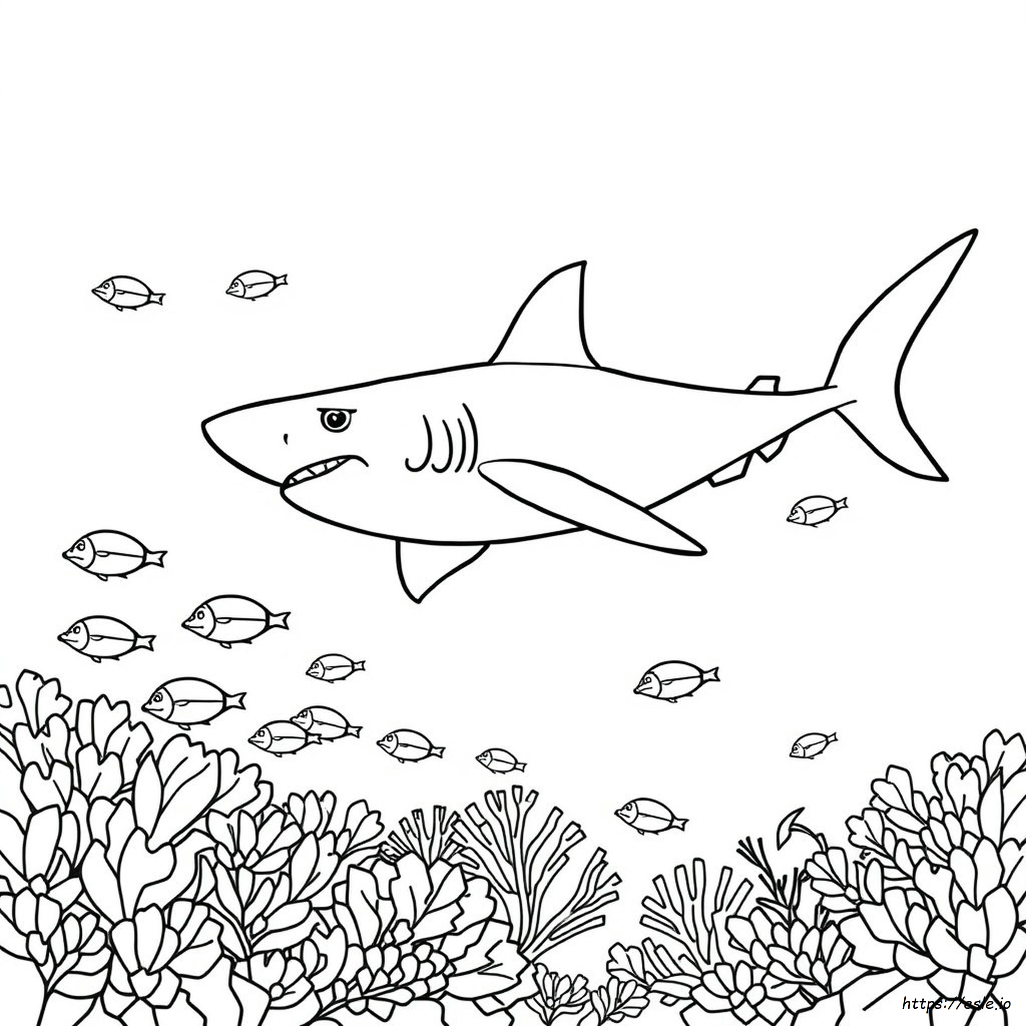 Shark Colouring In Pages