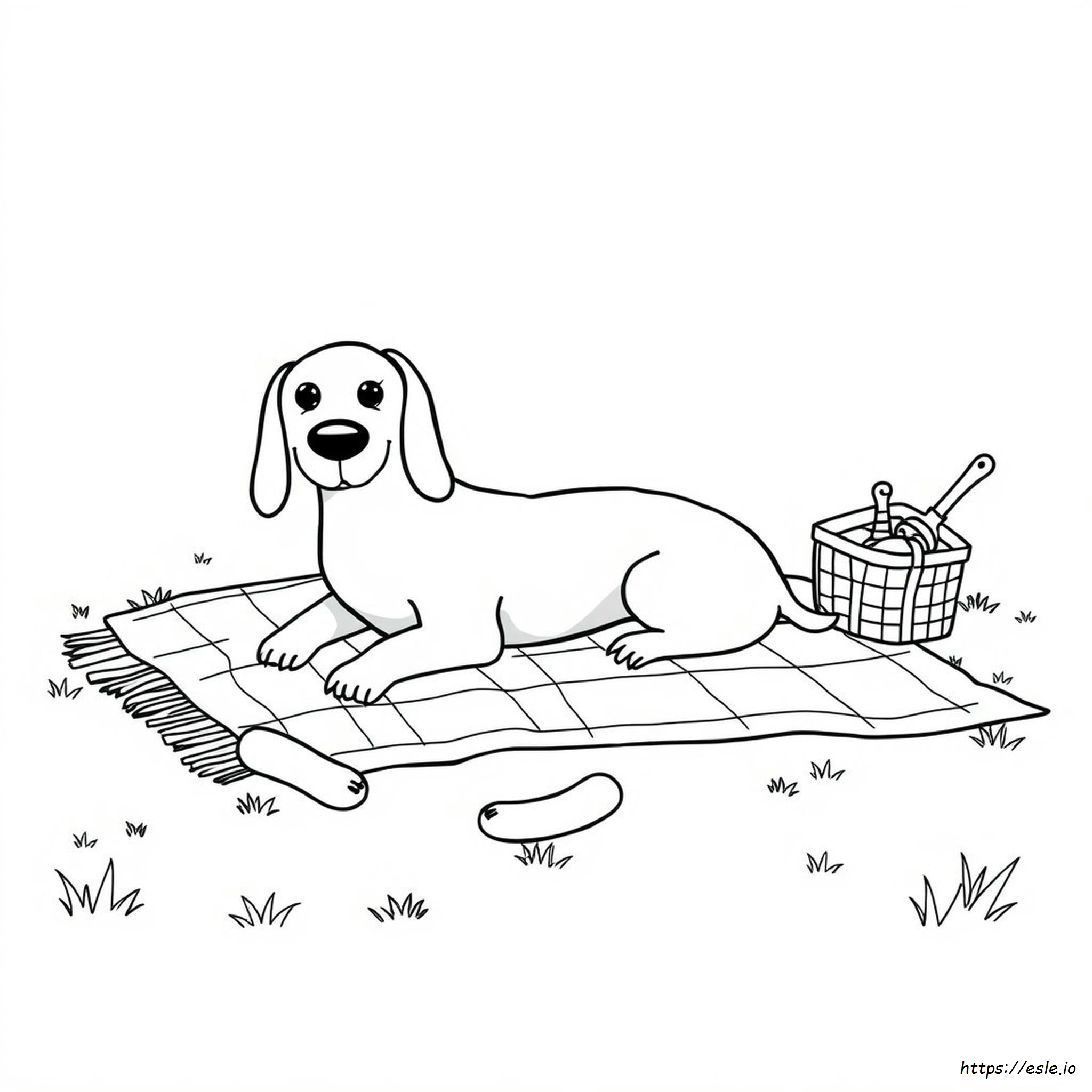 Sausage Dog Colouring In