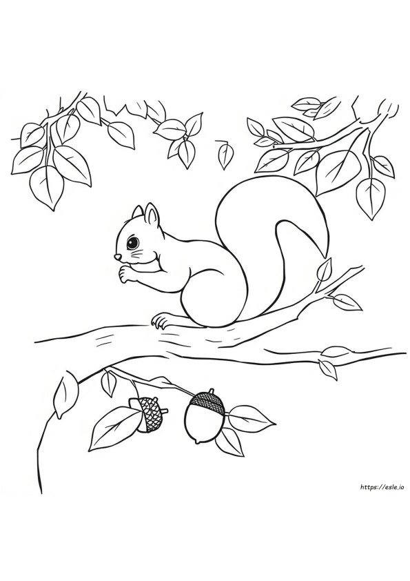 Coloring Page Of Squirrel