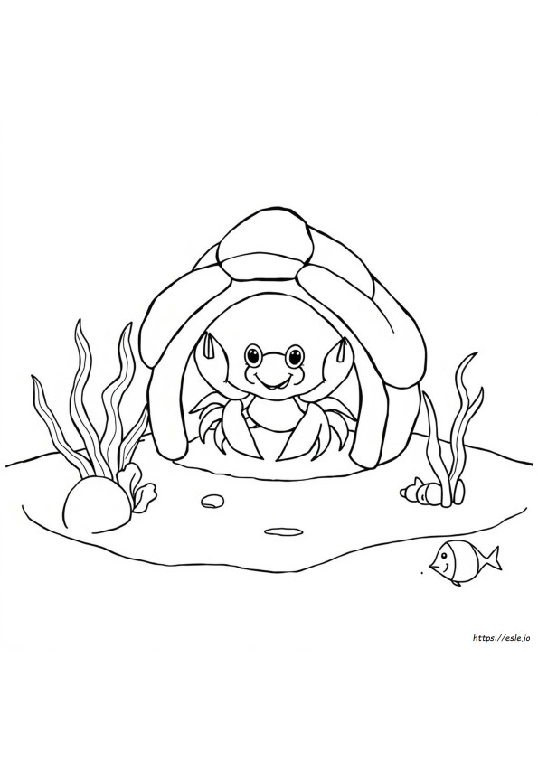 House For Hermit Crab Coloring Page