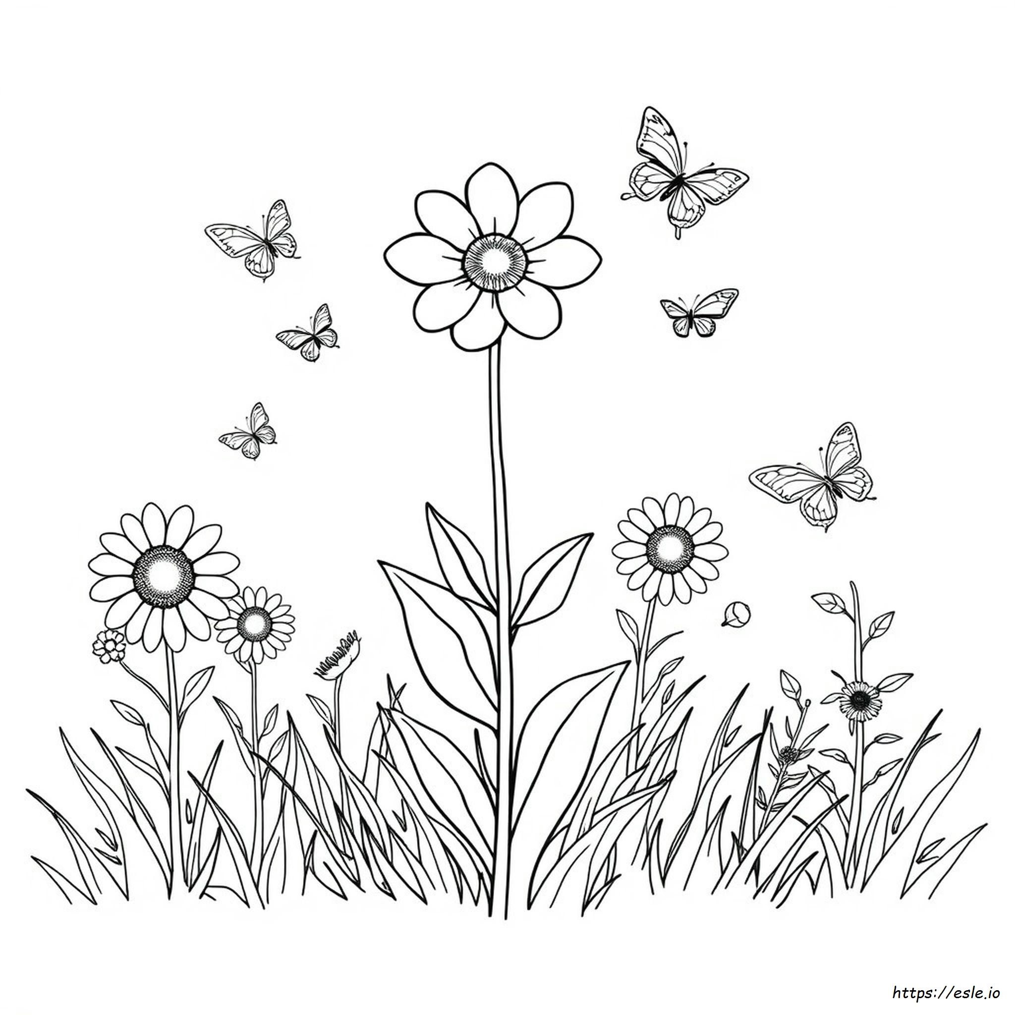 Fiore Da Colorare