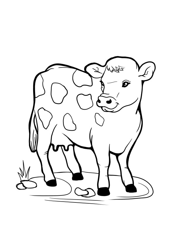 grazende koe gemakkelijk inkleuren afbeelding