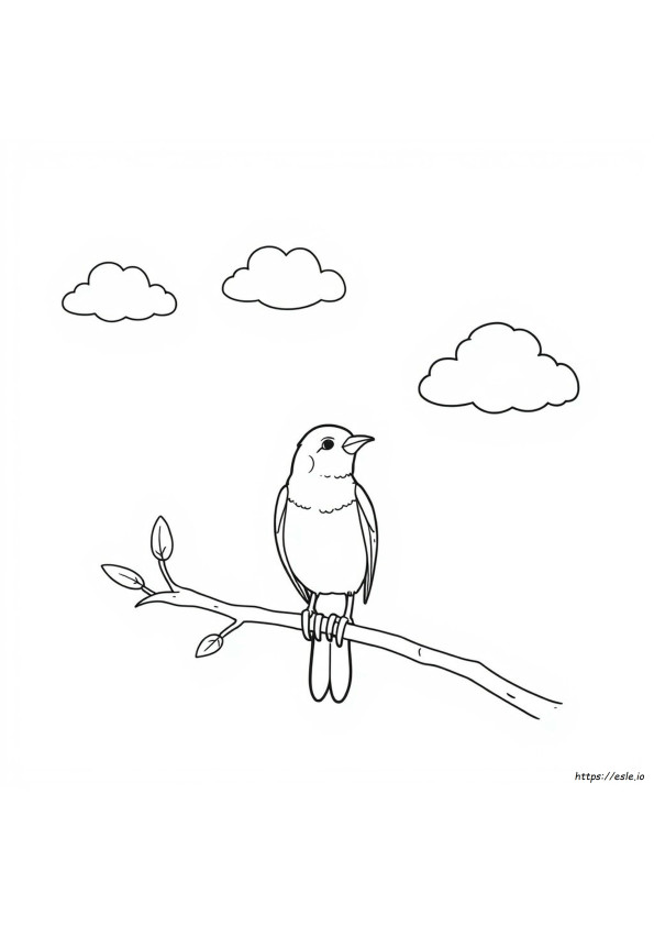 Gambar Mewarnai Burung Sederhana