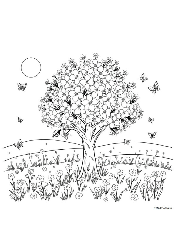 Free Spring Coloring Pages For Children