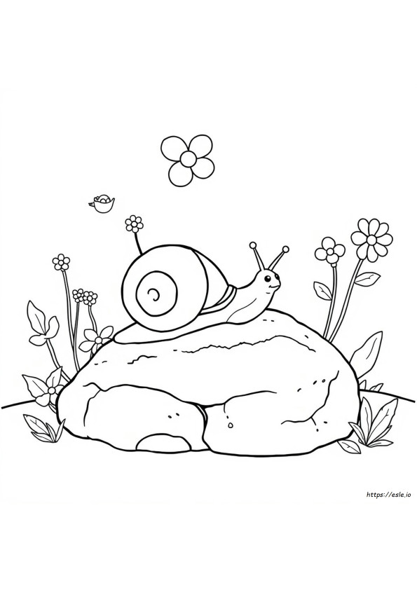 Images Coloriage Escargot