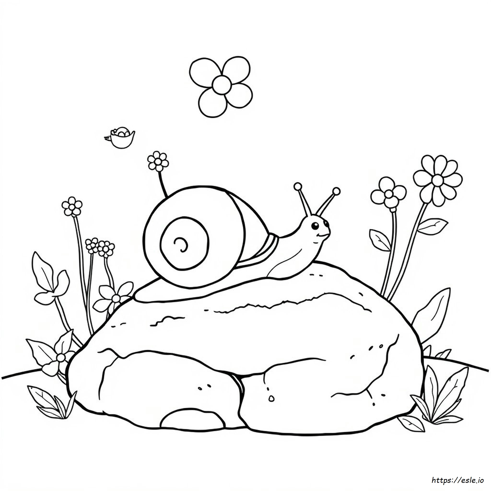 Snail Colouring Images