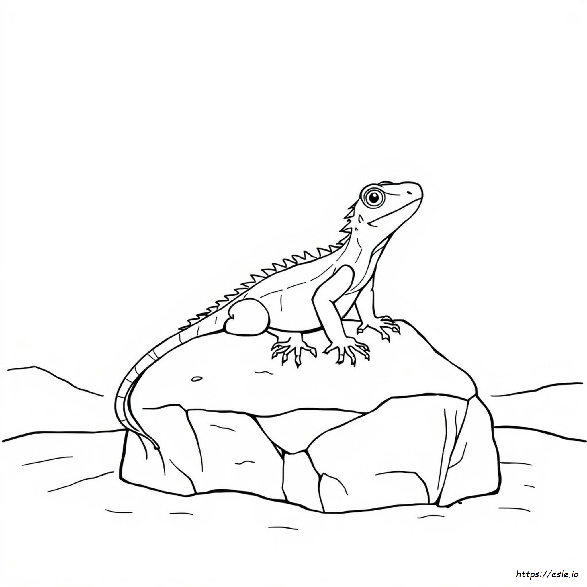 Lagarto Congelado Para Colorear