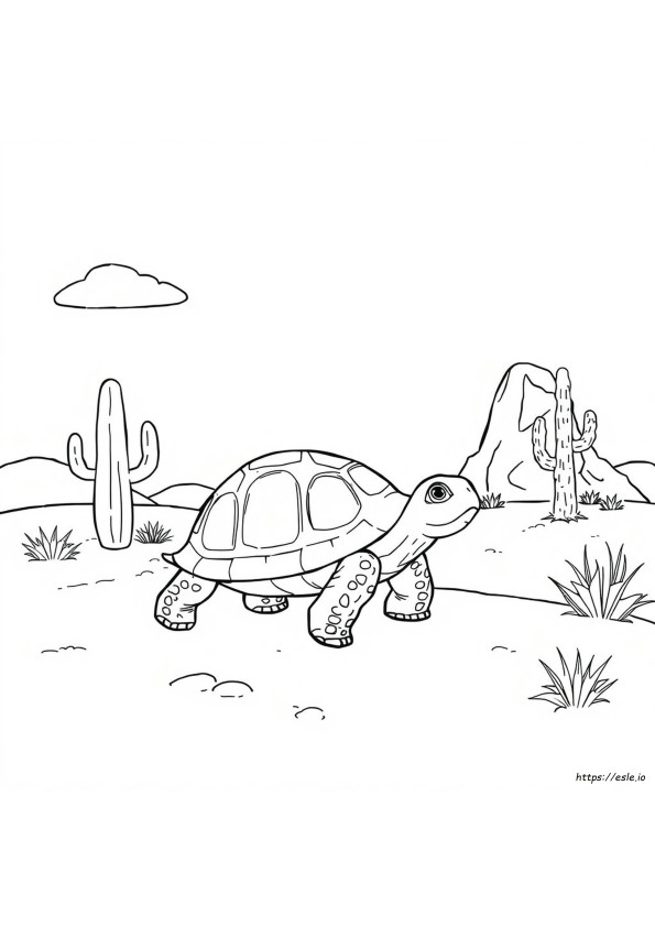 Schildpad Kleurplaten