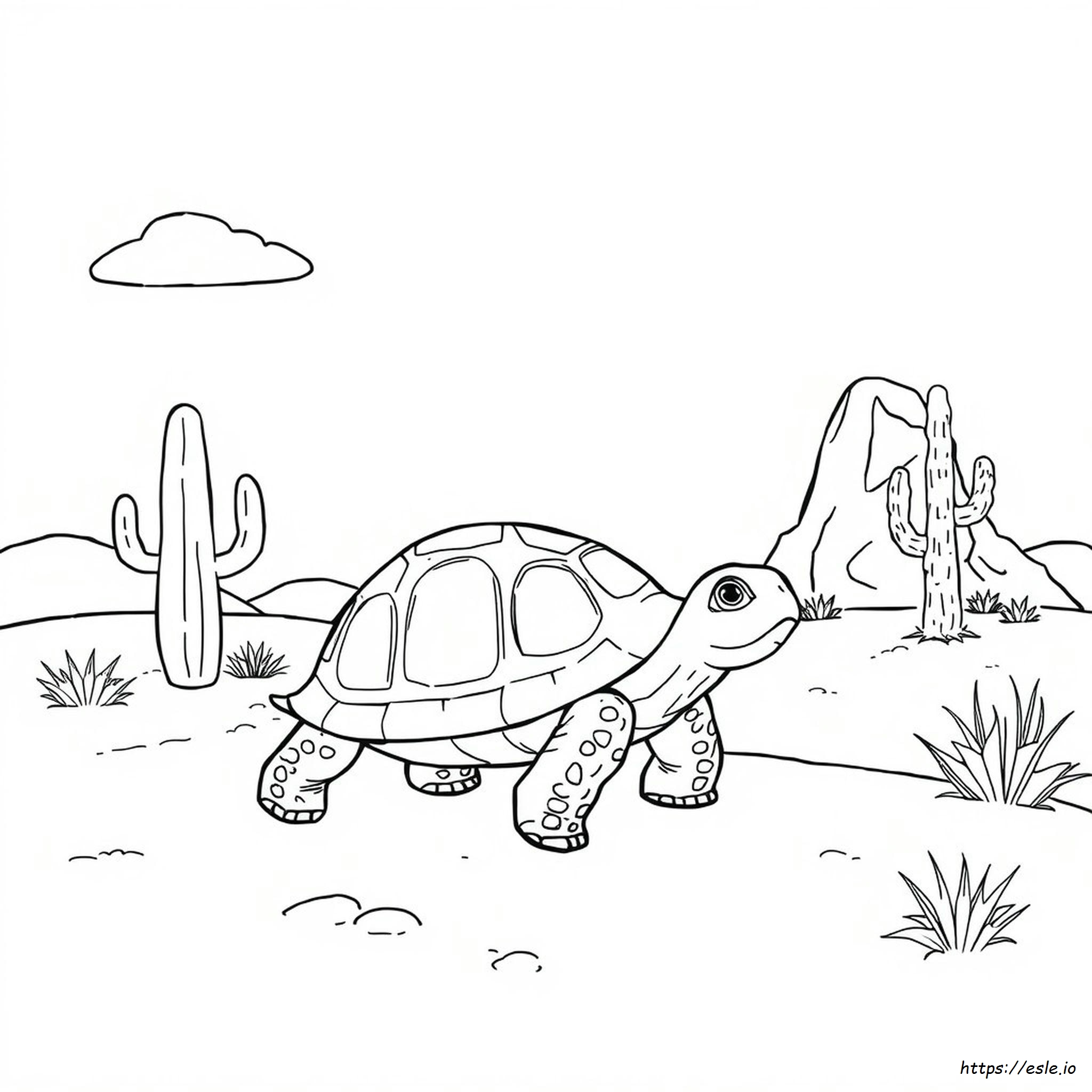Coloring Pages Of Tortoise