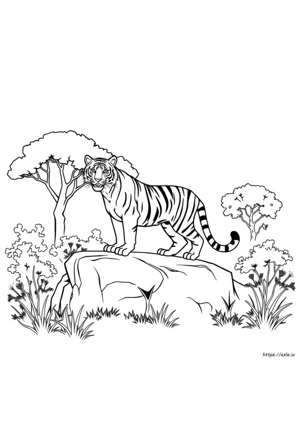 Tigre Da Colorare