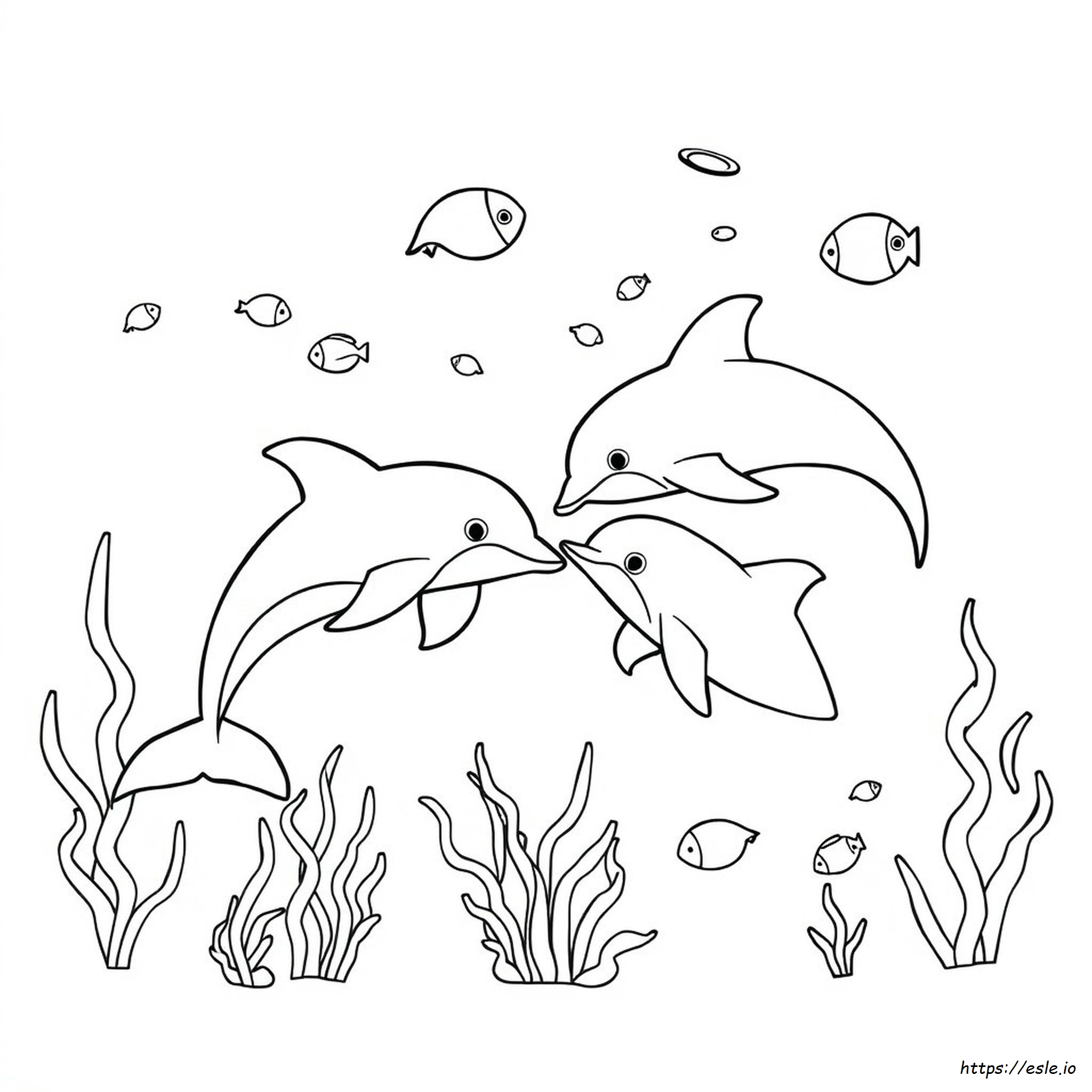 Delfin Kolorowanki Pdf