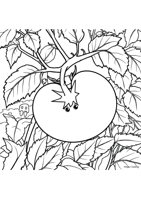 Colour Of Tomato Is Due To