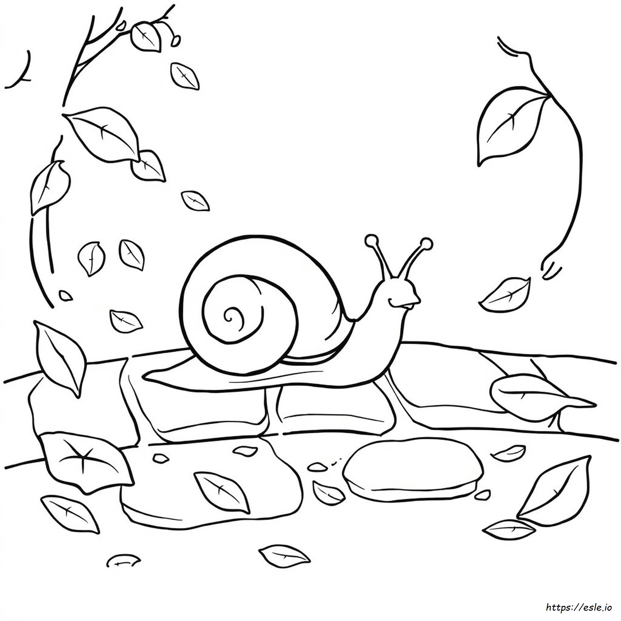 Printable Snail Coloring Page