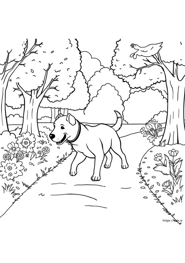 Gambar Mewarnai Anjing Online