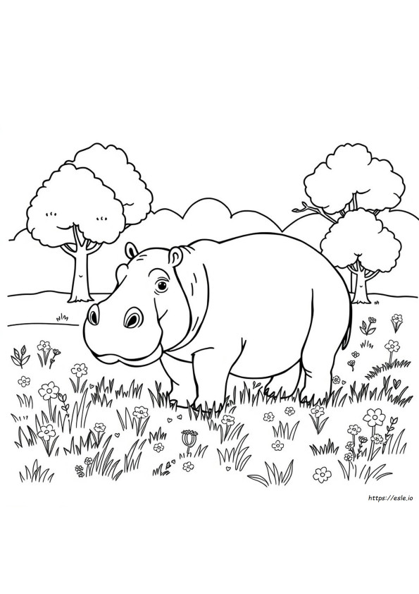 Ippopotamo Da Colorare