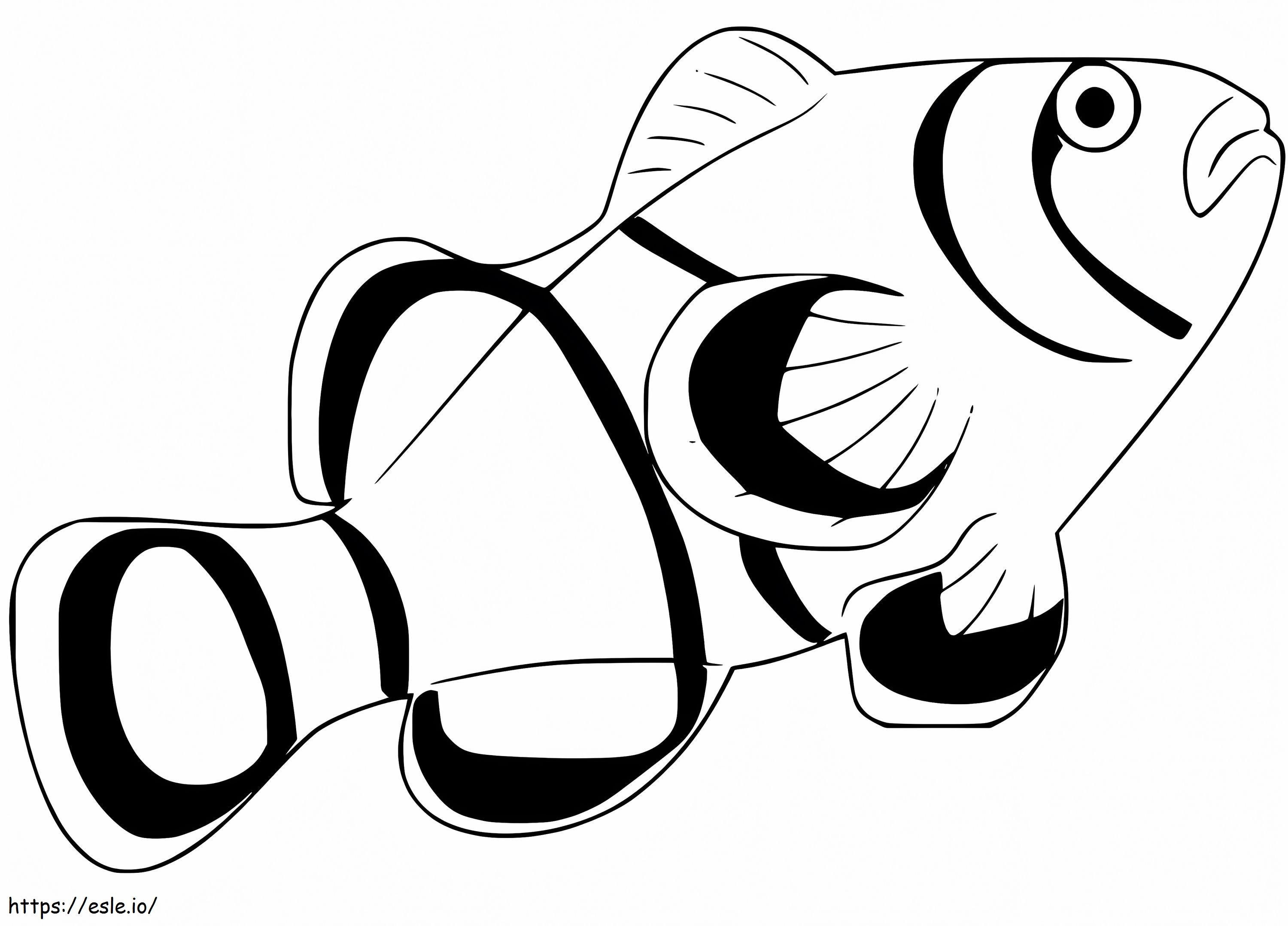 Peixe-palhaço imprimível para colorir