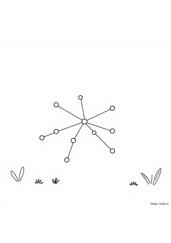 How To Color A Graph