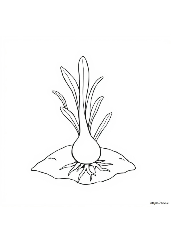 Leek Colouring Page