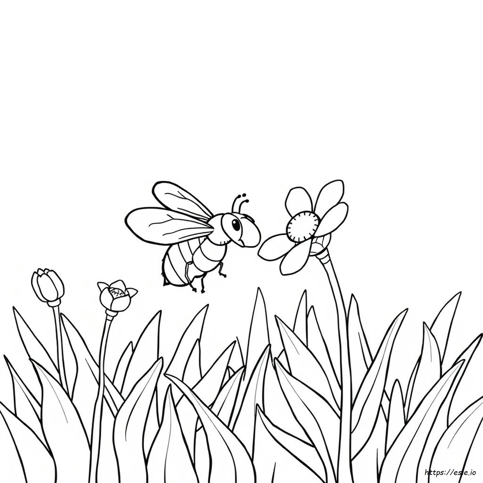 Disegni Da Colorare A B C