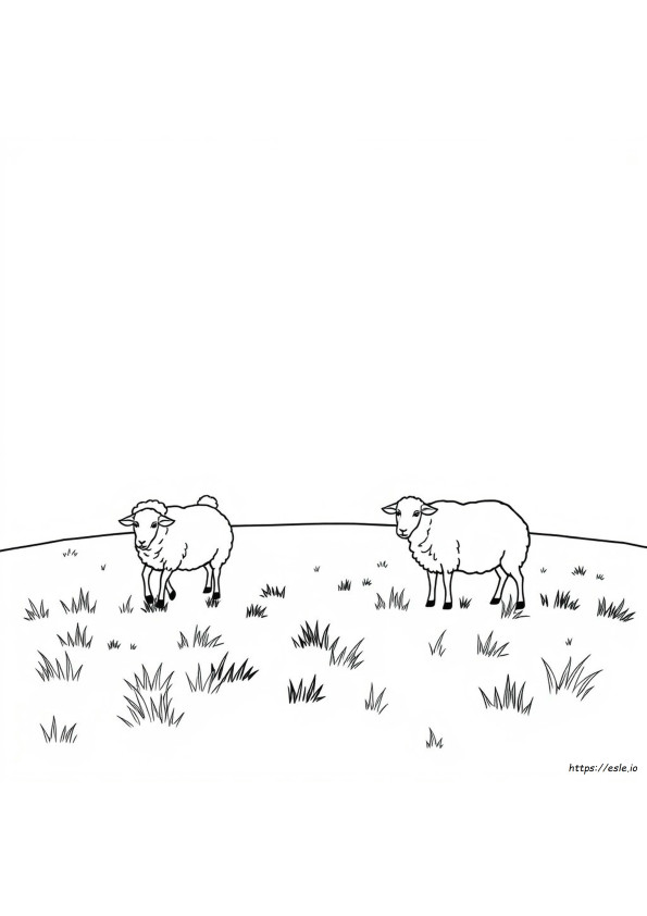 Coloriage Mouton