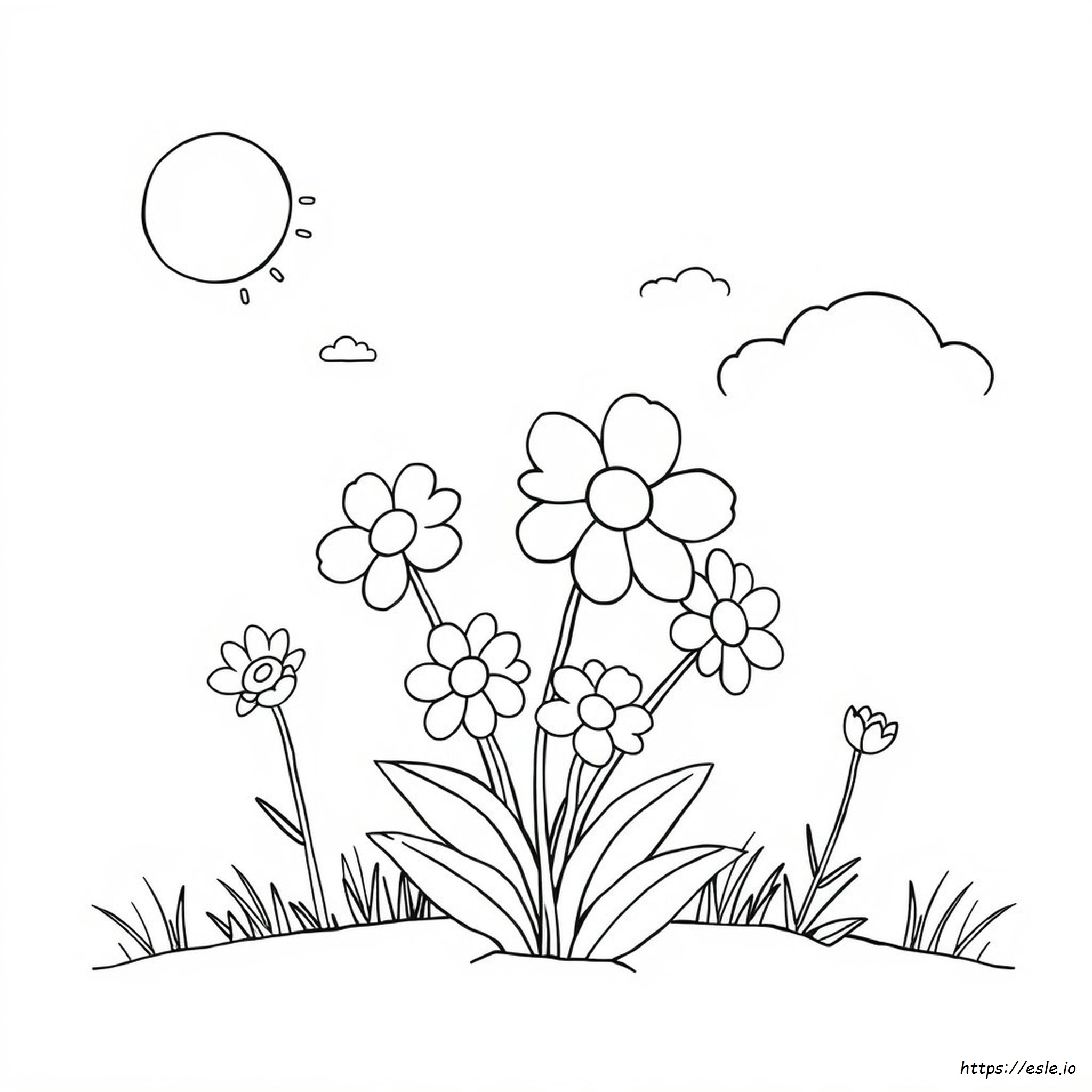 Disegni Da Colorare Da Stampare A Casa