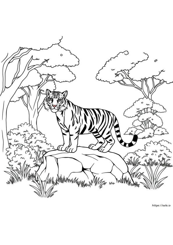 Disegni Da Colorare Di Tigri