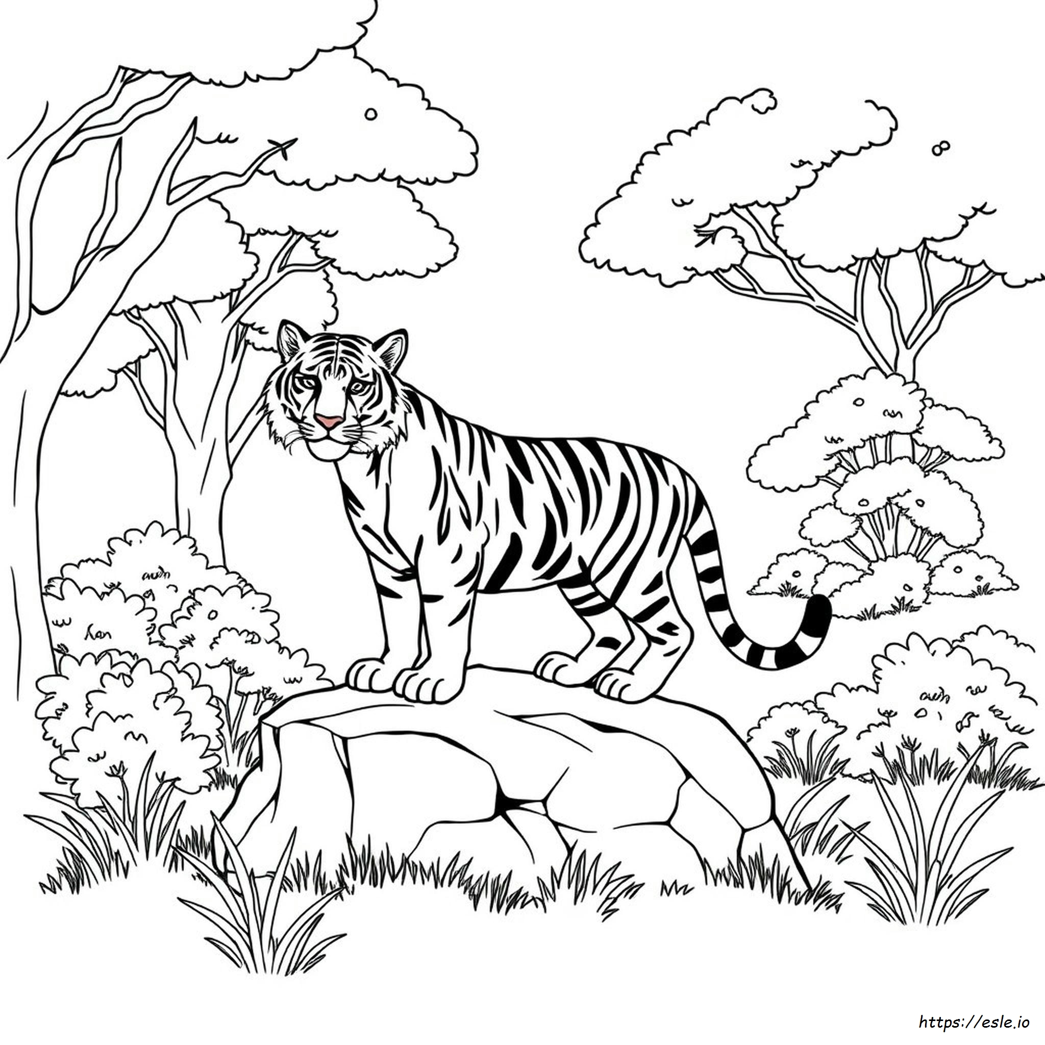 Tigris Színező Oldalak