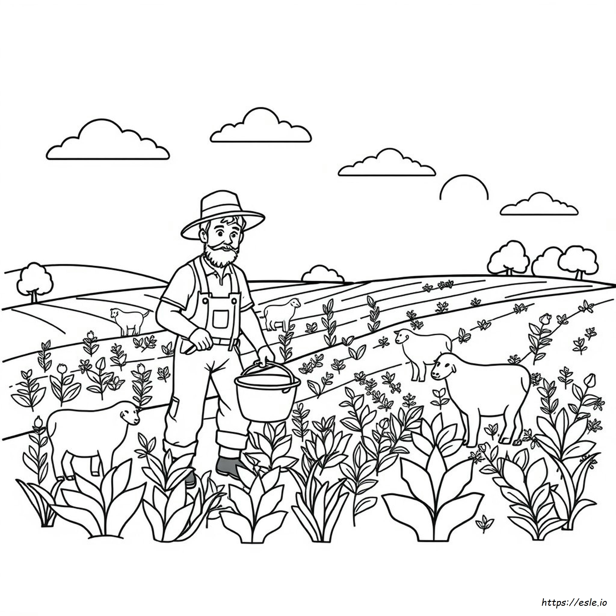 Disegni Da Colorare Di Fattoria Stampabili
