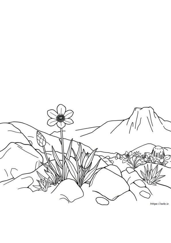 Bunga Resmi New Mexico, Gambar Mewarnai