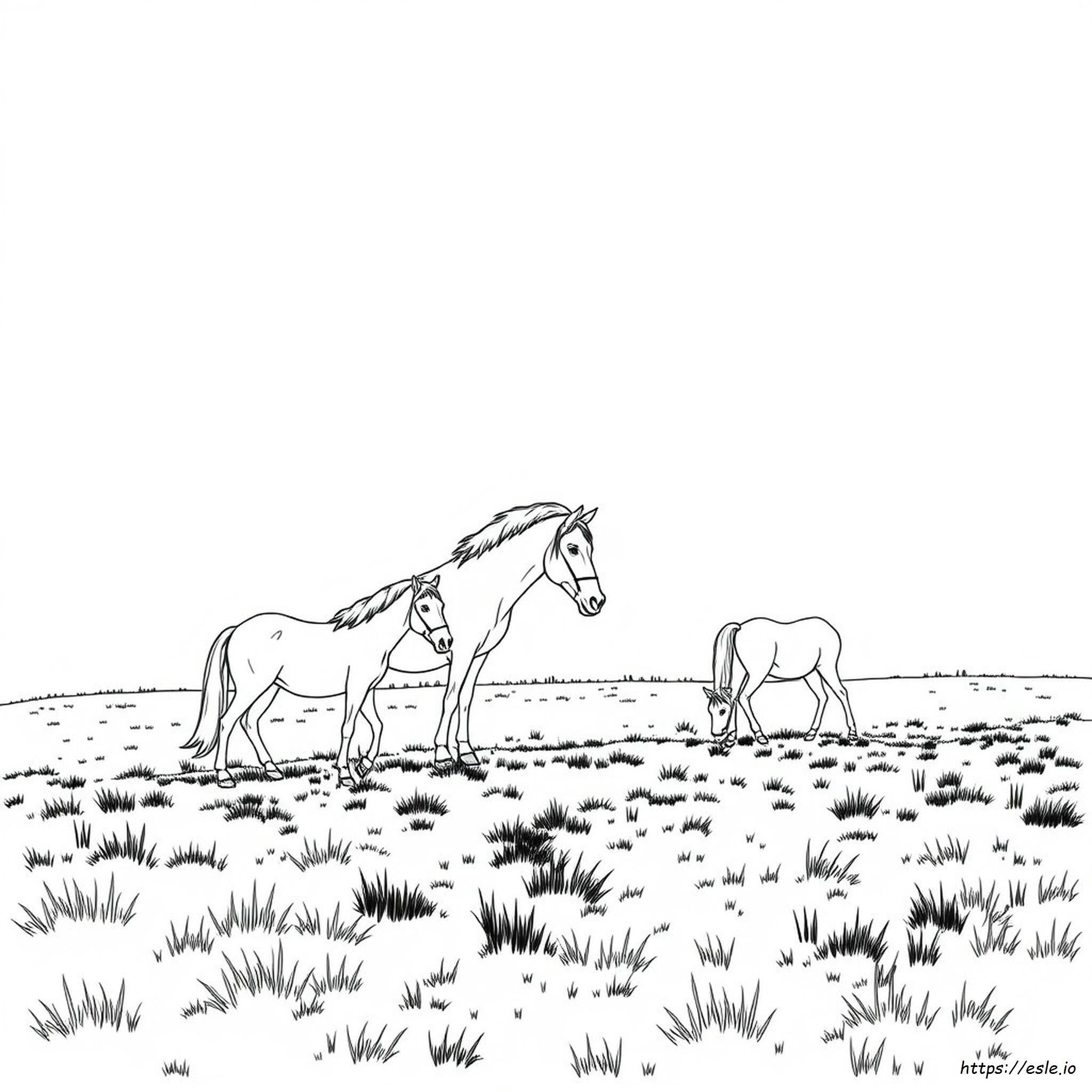 Páginas Para Colorear De Caballos Para Adultos