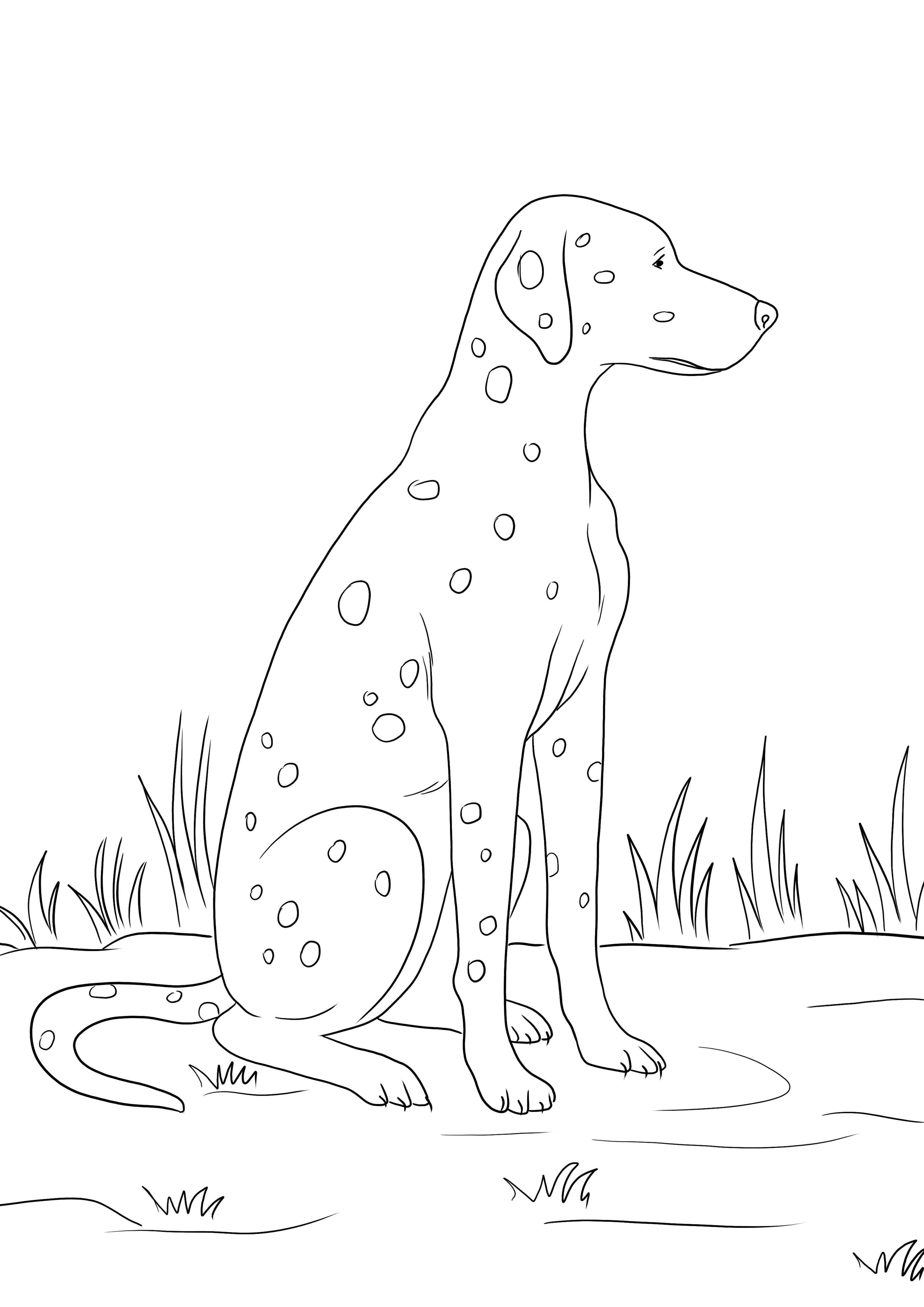 Ein kostenloser Ausdruck eines dalmatinischen Hundes zum einfachen Ausmalen für Kinder