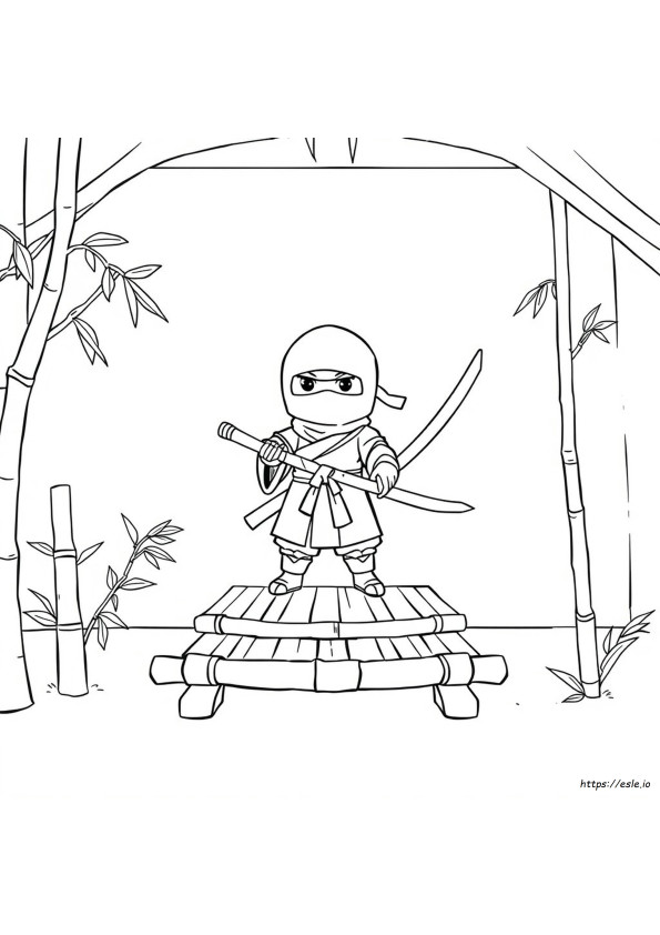 Ninja De Colorat