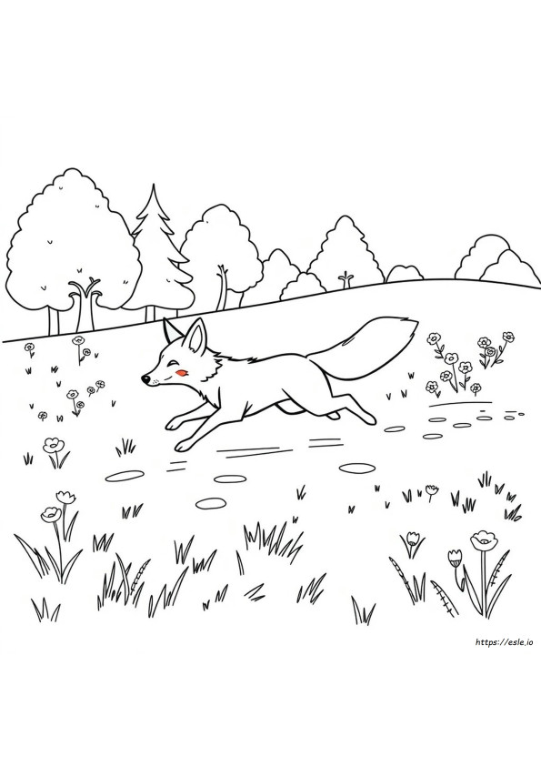 Raposa Para Colorir De Corrida
