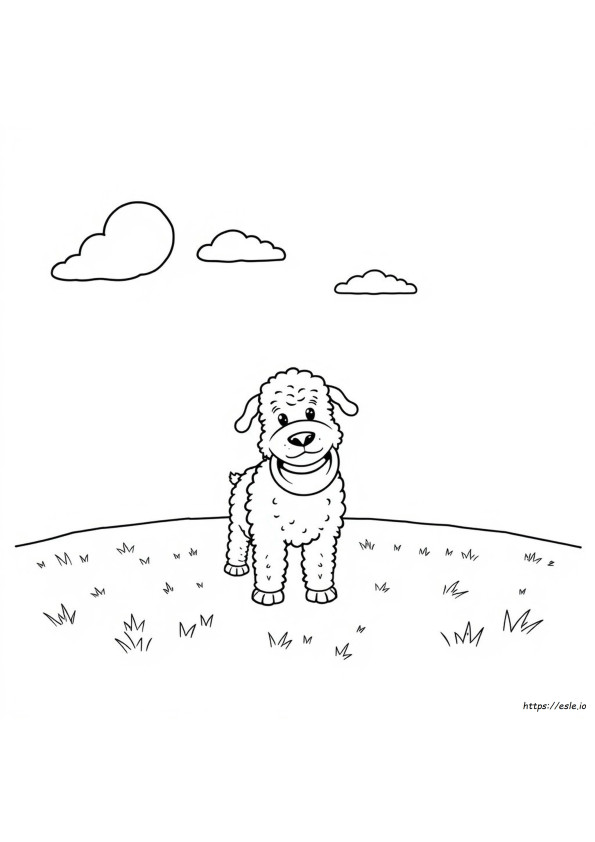 Sheepadoodle Gambar Mewarnai