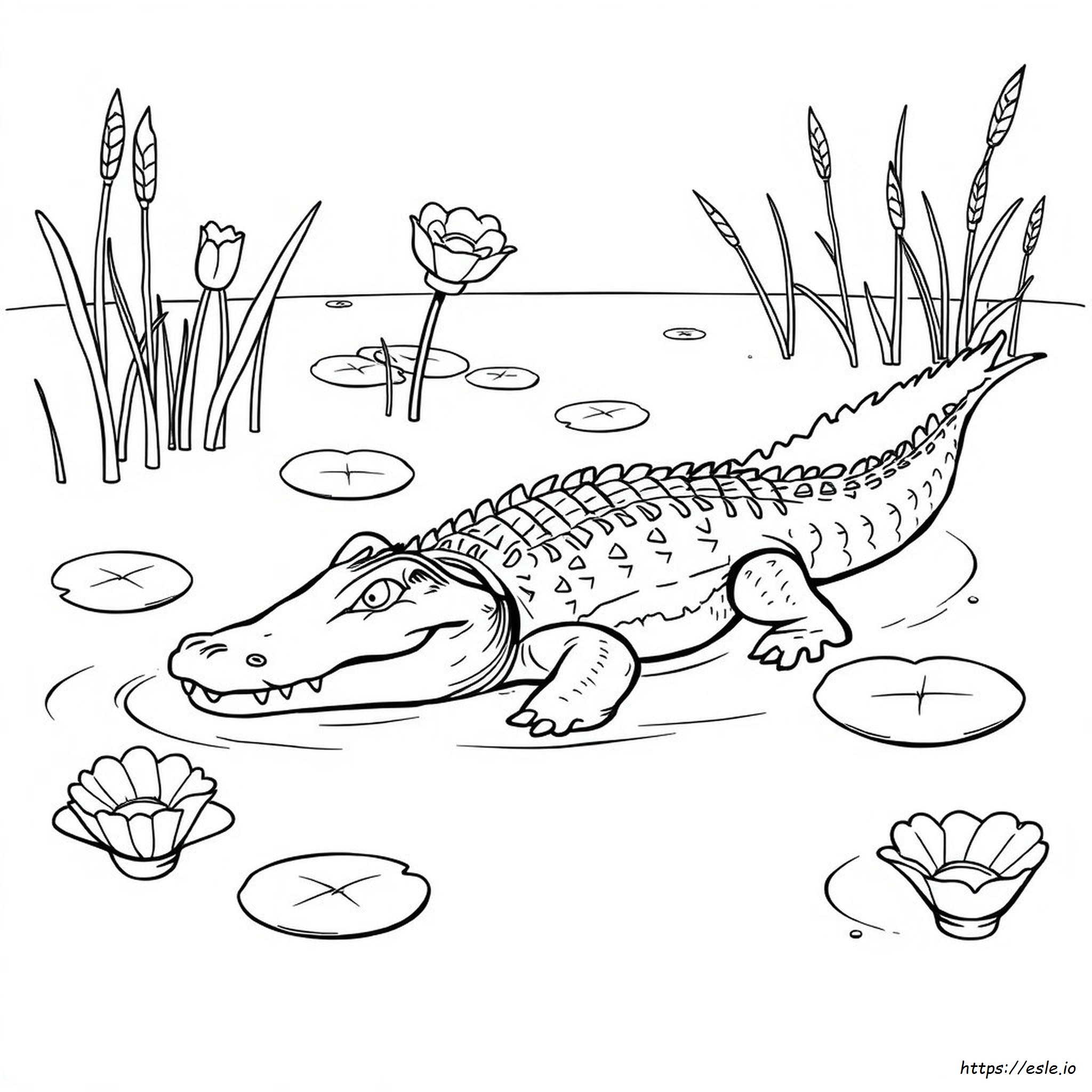 Realistic Alligator Coloring Pages
