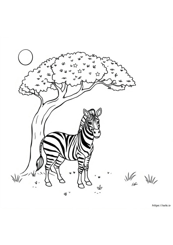 Zebra Boyama Resmi