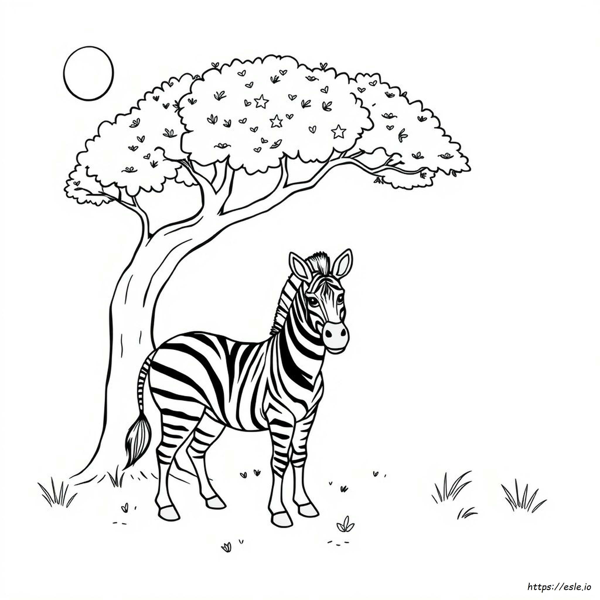 Zebra Picture For Colouring