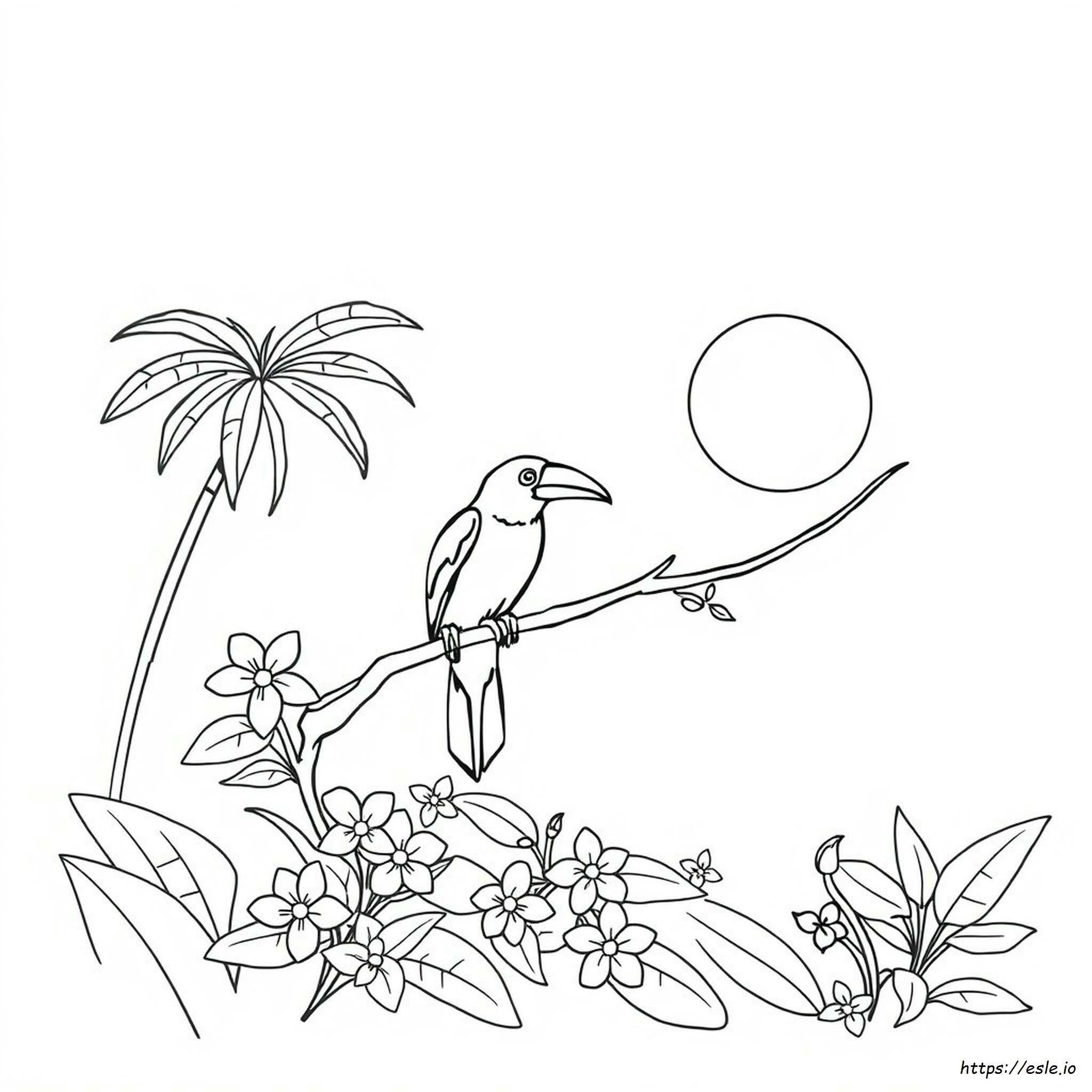 Tropische Vogel Kleurplaten kleurplaat