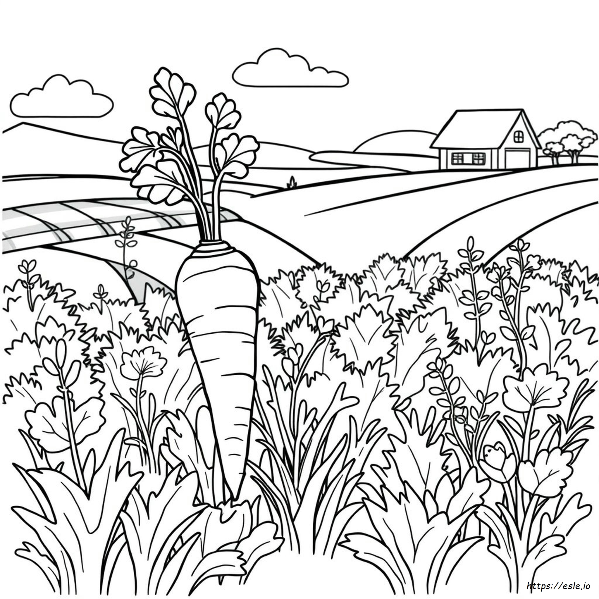 Carrot Coloring Pages Printable