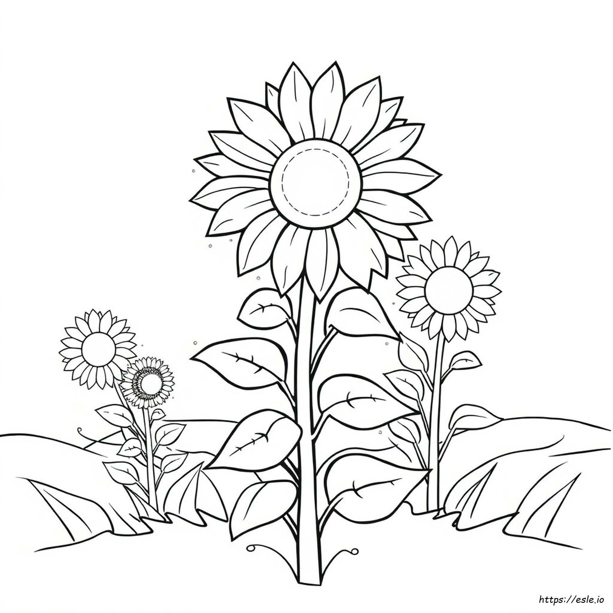 Immagini Di Girasoli Da Colorare