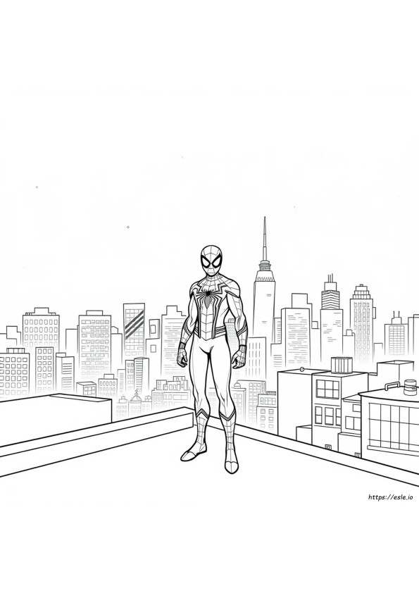 Hitam Putih Spider Man Gambar