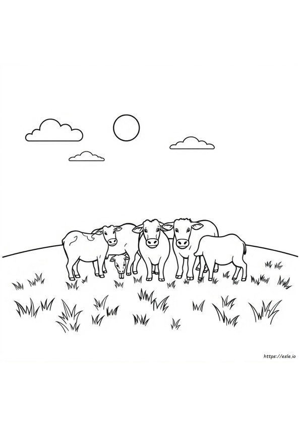 Farm Animals Colouring Pictures
