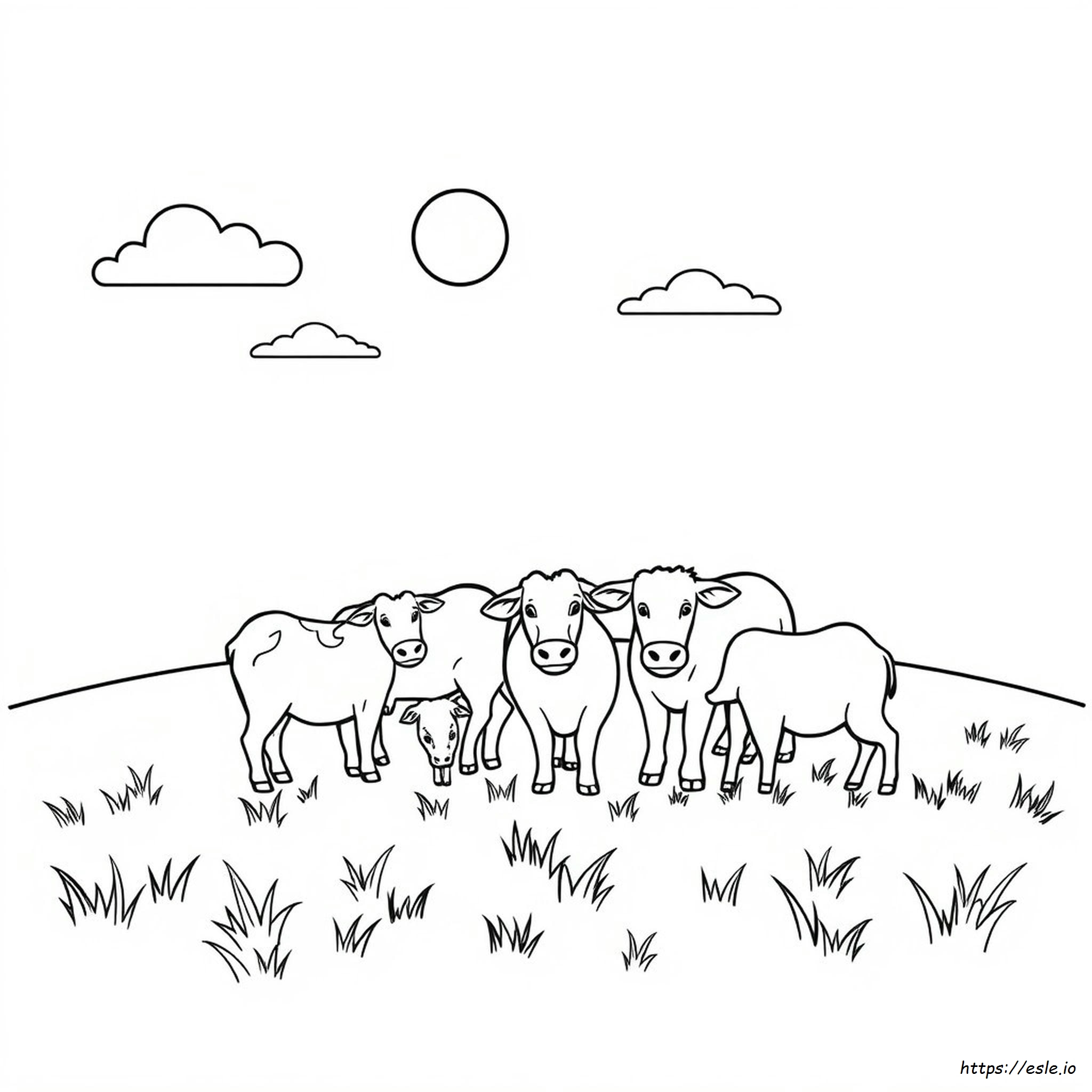Farm Animals Colouring Pictures