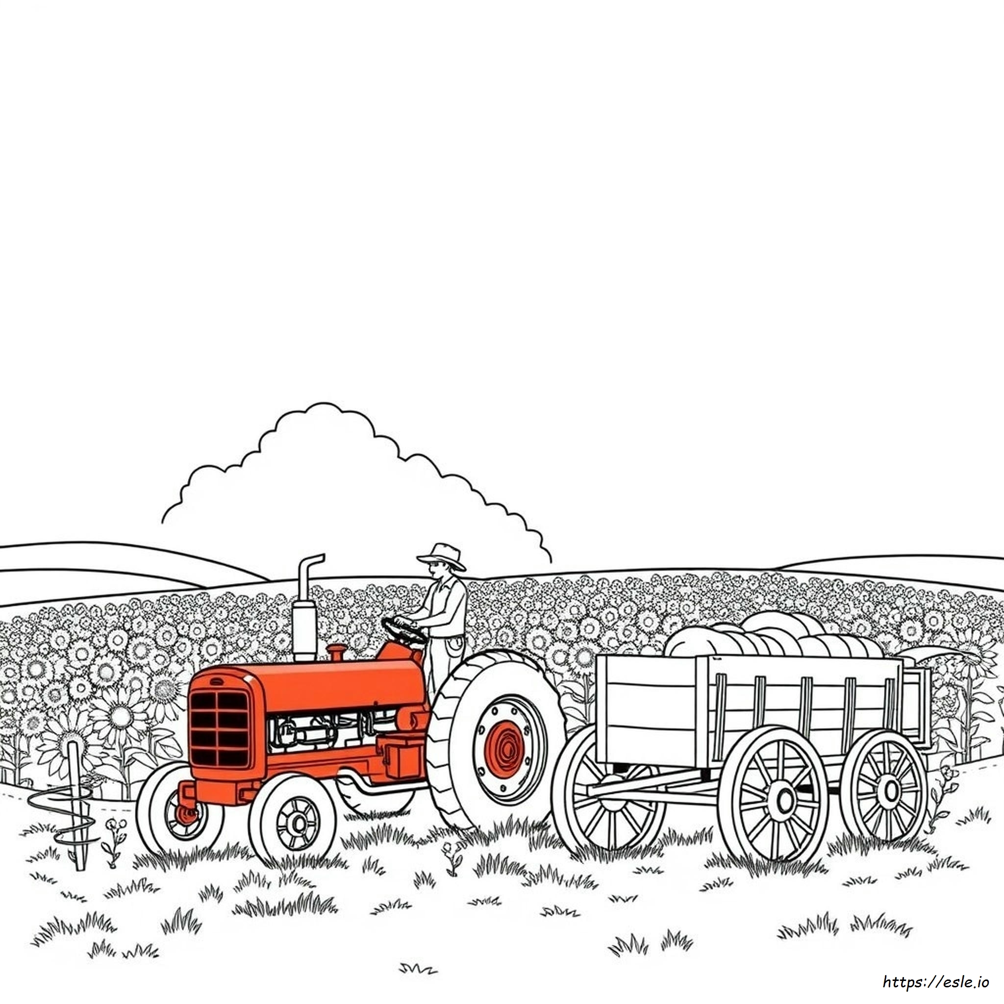 Harvest Colouring Pages